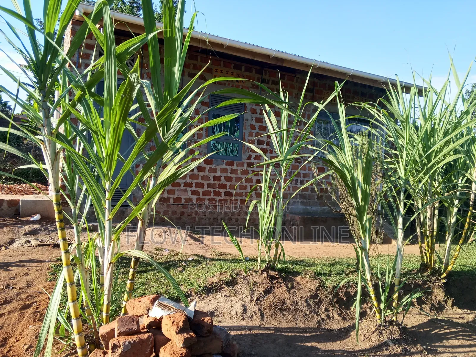 1bdrm Townhouse/Terrace in Bukananga Beach Road, Mityana TC for sale