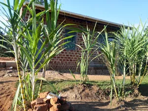 1bdrm Townhouse/Terrace in Bukananga Beach Road, Mityana TC for sale