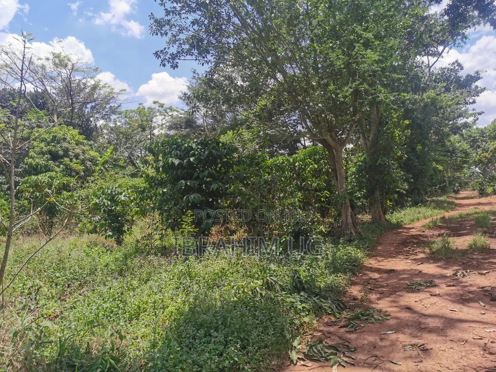 30 ACRES of Land in Seeta Namuganga 40 M Per Acre
