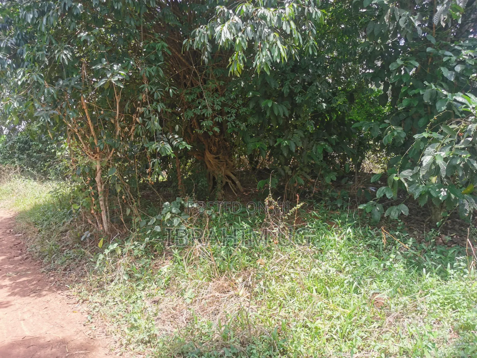 30 ACRES of Land in Seeta Namuganga 40 M Per Acre