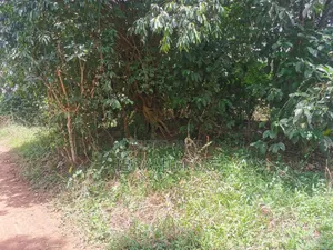 30 ACRES of Land in Seeta Namuganga 40 M Per Acre