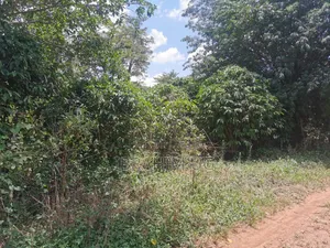 30 ACRES of Land in Seeta Namuganga 40 M Per Acre