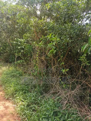 30 ACRES of Land in Seeta Namuganga 40 M Per Acre