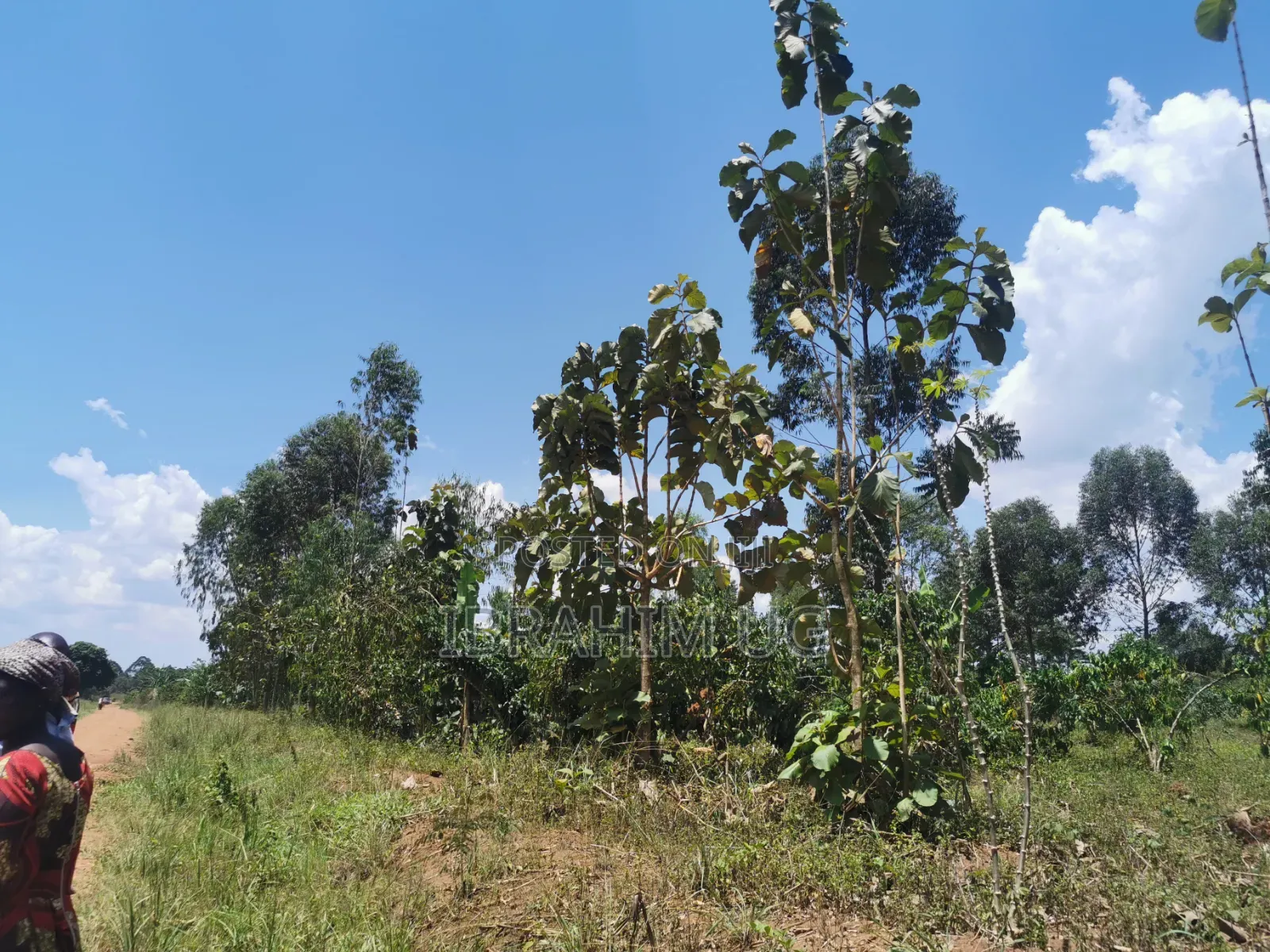 10 ACRES 40m in Mukono Seeta Namuganga