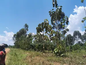 10 ACRES 40m in Mukono Seeta Namuganga