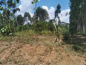 10 ACRES 40m in Mukono Seeta Namuganga