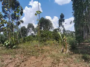 10 ACRES 40m in Mukono Seeta Namuganga