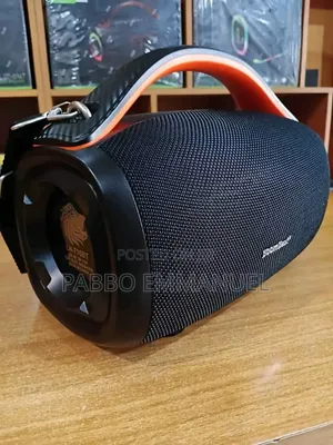 Massive Bass Sounds Speaker