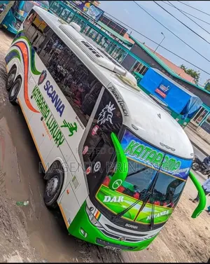 Bus Professional Branding Services