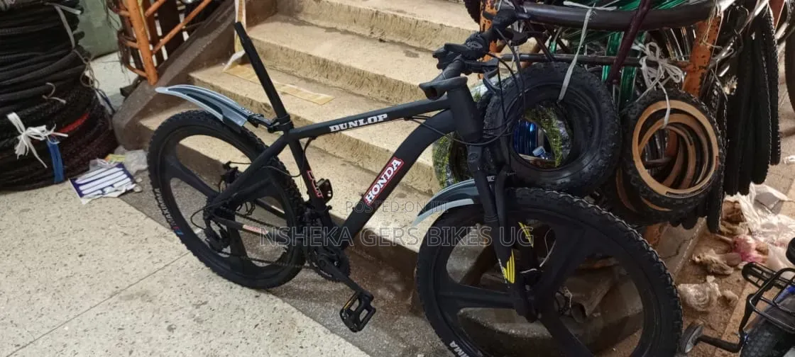 Mountain Bike