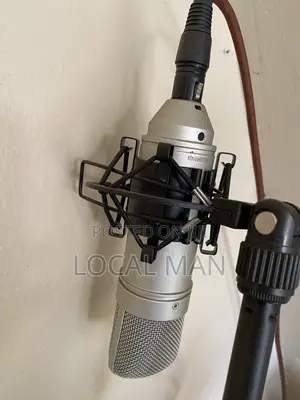 Microphone