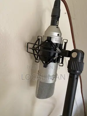 Microphone