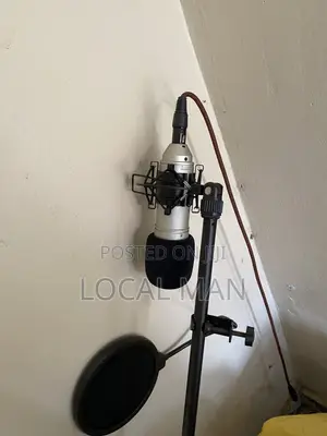Microphone