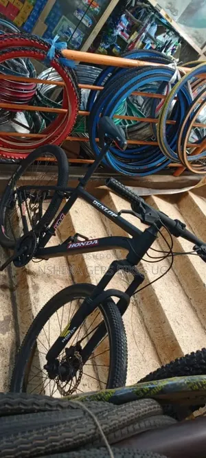 Mountain Bike
