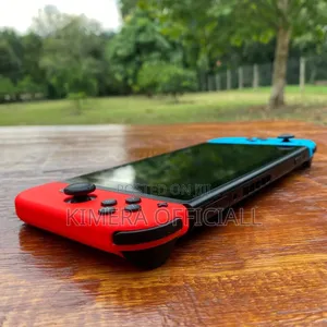 Nintendo Switch Standard. This One Is for the Winners.