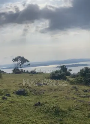 Land for Sale, Lake View Nkokonjeru