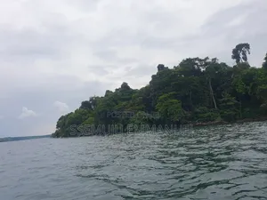 Island for Sale in Kalangala Kyamuswa