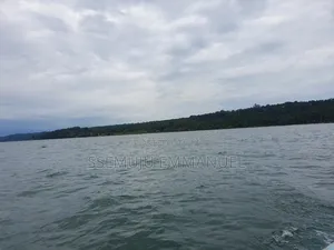 Island for Sale in Kalangala Kyamuswa