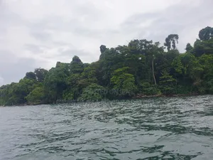 Island for Sale in Kalangala Kyamuswa