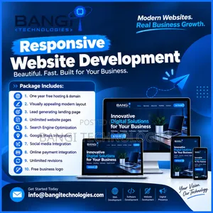 Professional Website Development