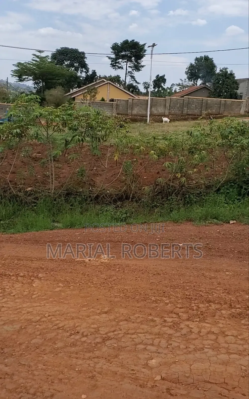Prime Titled Plots for Sale