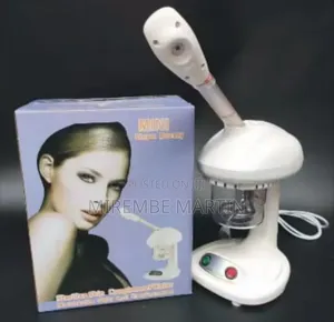 Mini Steam Beauty Facial Steamer