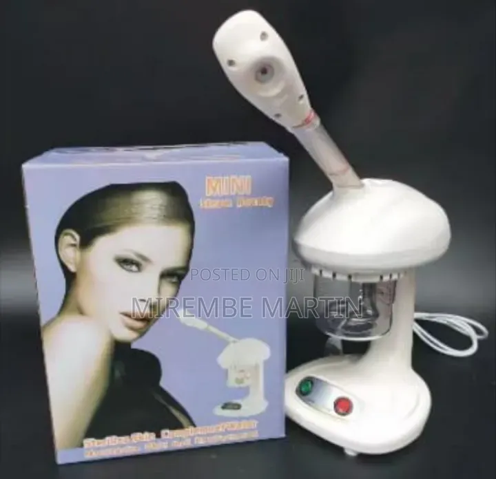Mini Steam Beauty Facial Steamer