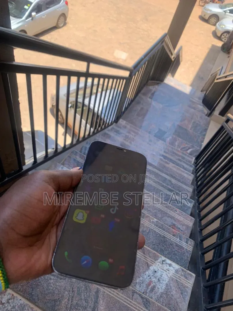 Apple iPhone 12 Pro Max 256 GB Blue