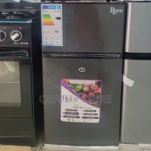 Roch 120 L Double Door Refrigerator