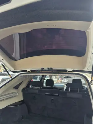Toyota Harrier 2010 Pearl