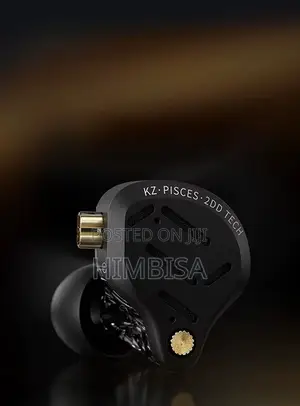 Kz ZSN Picses