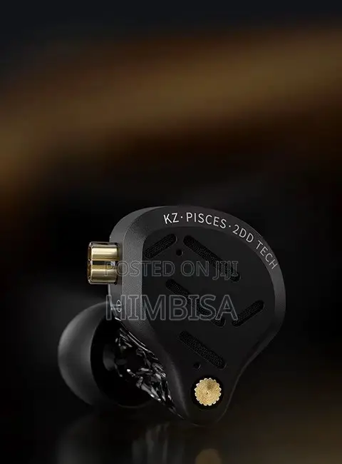 Kz ZSN Picses
