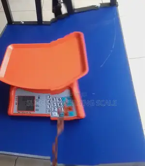 Digital Weighing Scale Fast Weight Measurement Weighing Scale