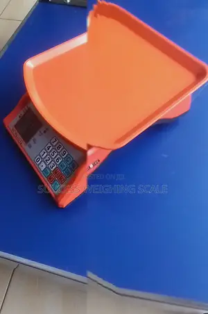 Digital Weighing Scale Fast Weight Measurement Weighing Scale