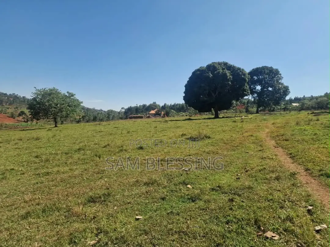 80 Acres for Sale in Wakiso