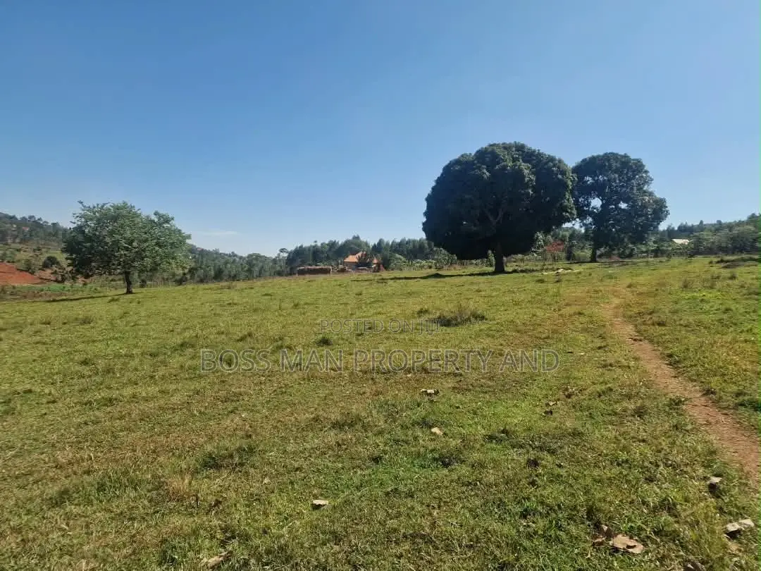 80 Acres for Sale in Wakiso
