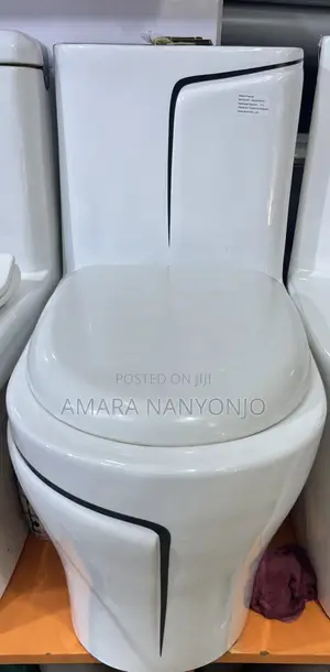 Luxury Toilet and Hand Wash Basin Combo