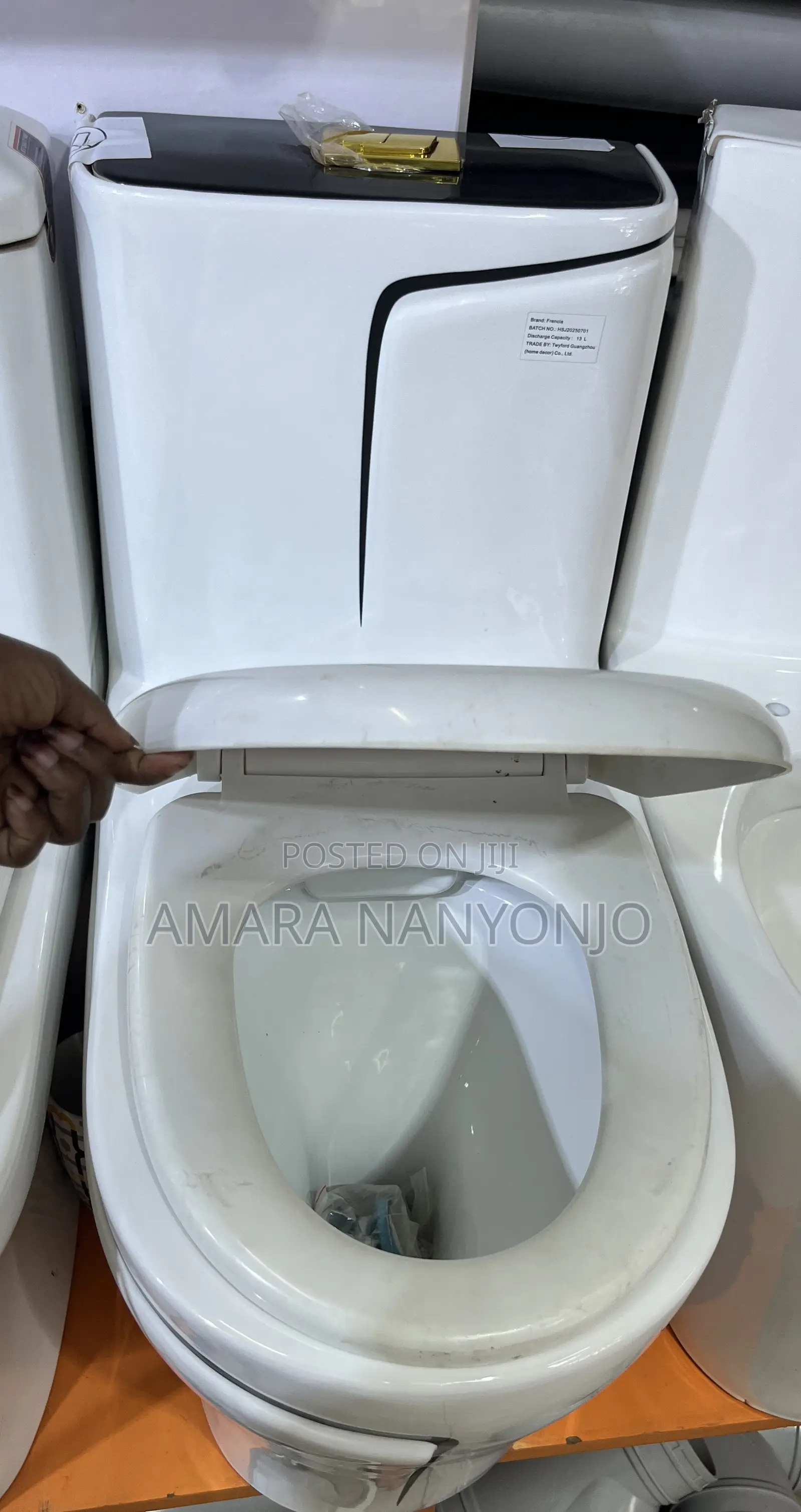 Luxury Toilet and Hand Wash Basin Combo