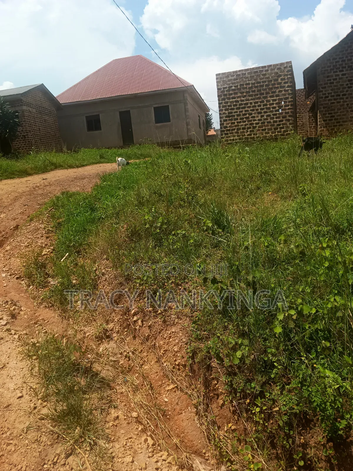 Plots for Sell