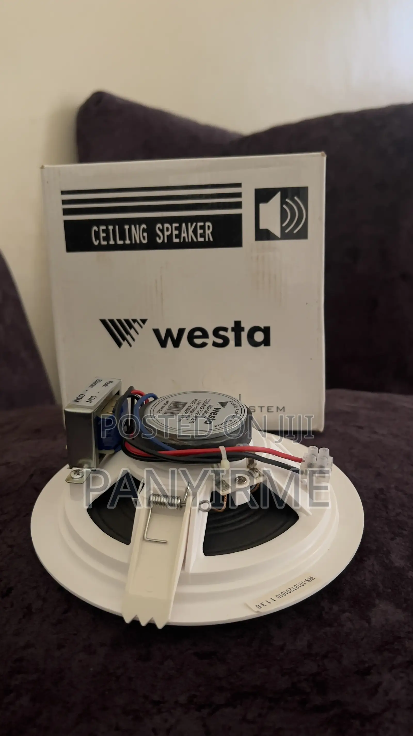 Ceiling Speakers