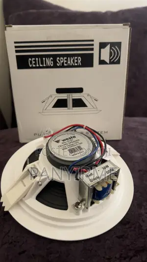 Ceiling Speakers