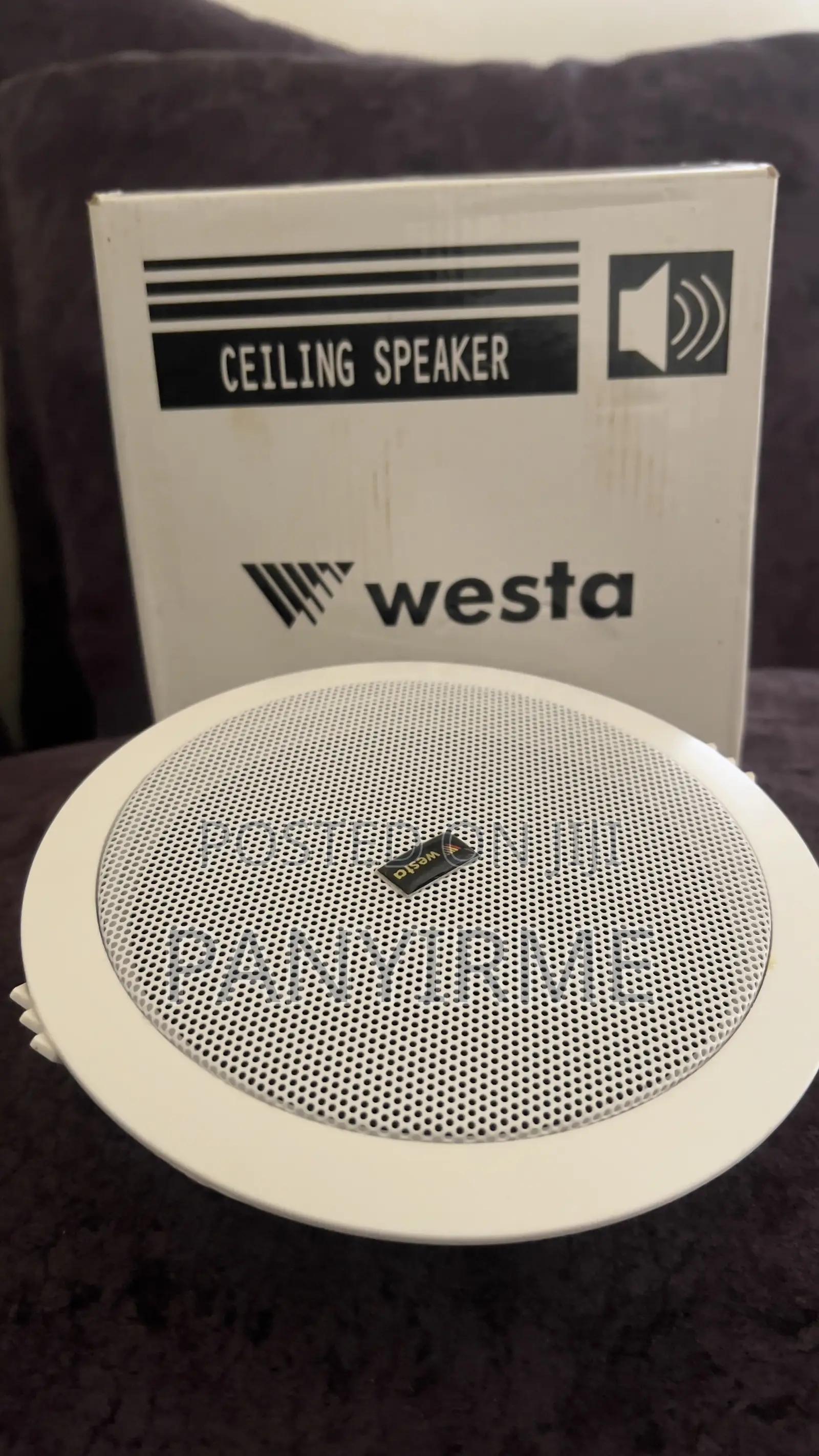 Ceiling Speakers