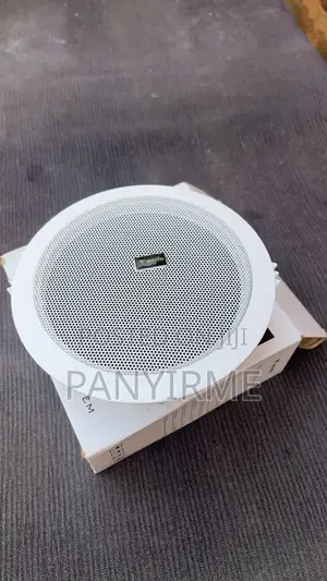 Ceiling Speakers