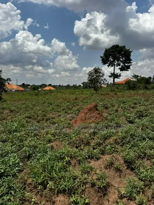 Plot for Sell Gayaza Kiwenda at 22m With Land Titles