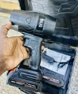 Cordless Blower With Two Batteries