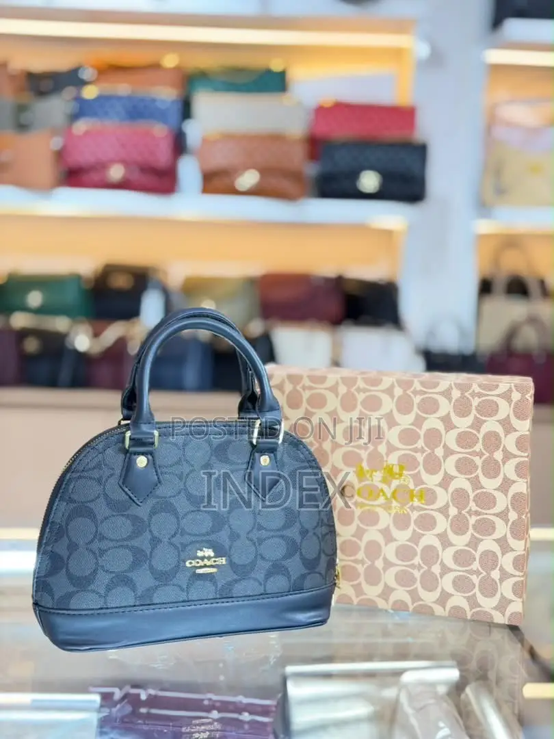 Coach Luxury Bag