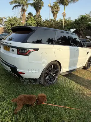 Land Rover Range Rover 5.0L Supercharged Autobiography 2014 White