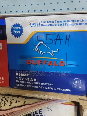 Buffalo N55MF 12V 55AH Maintenance-Free Car Battery