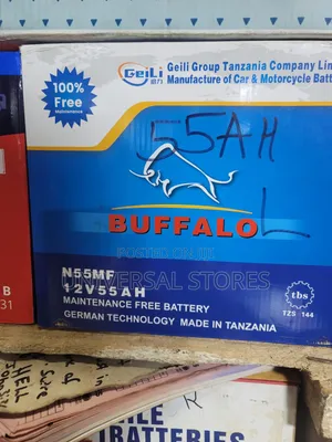 Buffalo N55MF 12V 55AH Maintenance-Free Car Battery