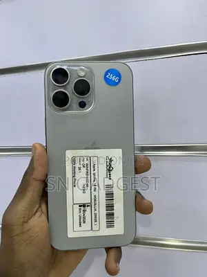 Apple iPhone 16 Pro Max 256 GB Gray